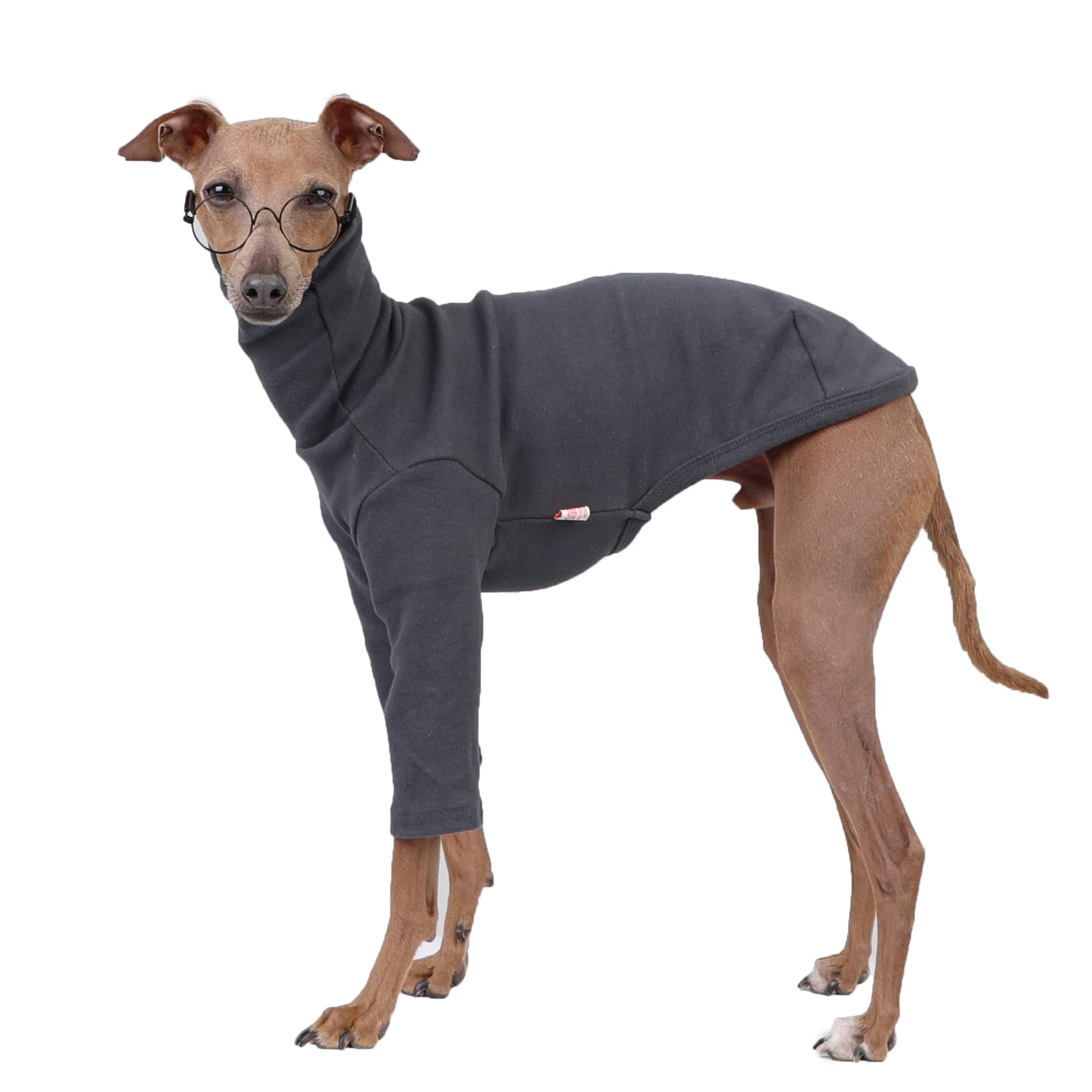 D Doggy Star Italian Greyhound Clothes Flexible T Shirts Whippet for Dogs (M,Solid Dark Grey)