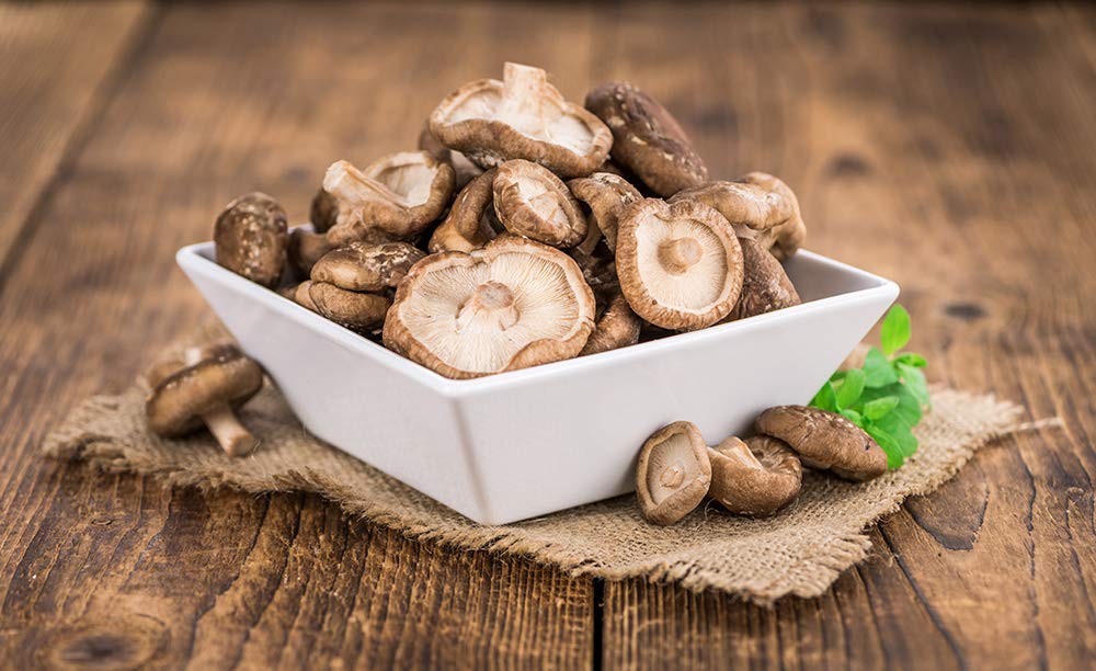 Hawlik Pilzbrut I el original I BIO mezcla de setas autocultivo I 2 cultivos para cultivar uno mismo I setas shiitake y setas de cardo I kit cultivo setas | juego de niños para cultivar setas frescas