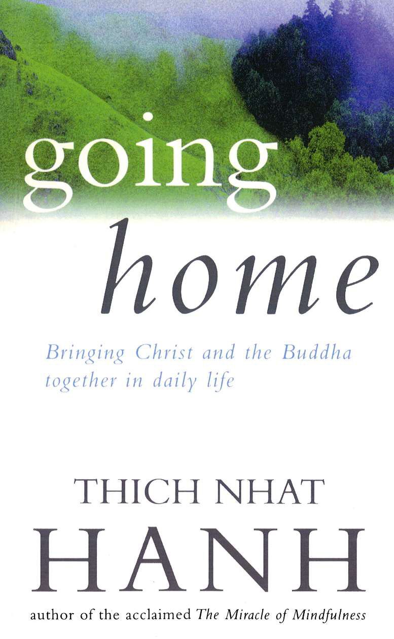 Going Home by Thich Nhat Hanh - 9781846043147