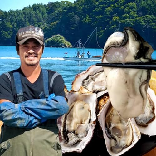 y kt Hp y L 35 KL 嗱JL O{錧Y Yp(p) t  VN