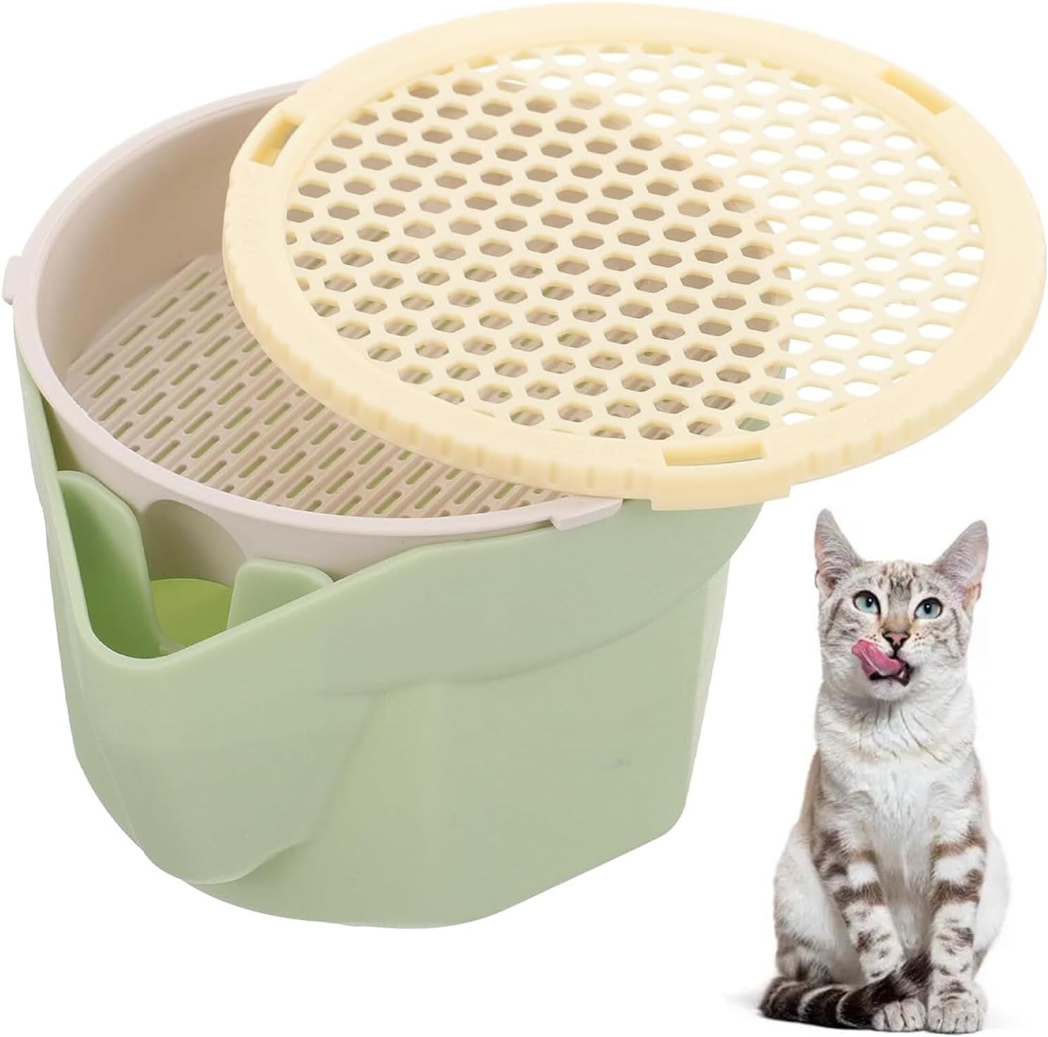 KOKOWOO Cat Grass Cup Hydroponic Cat Grass Growing Planter