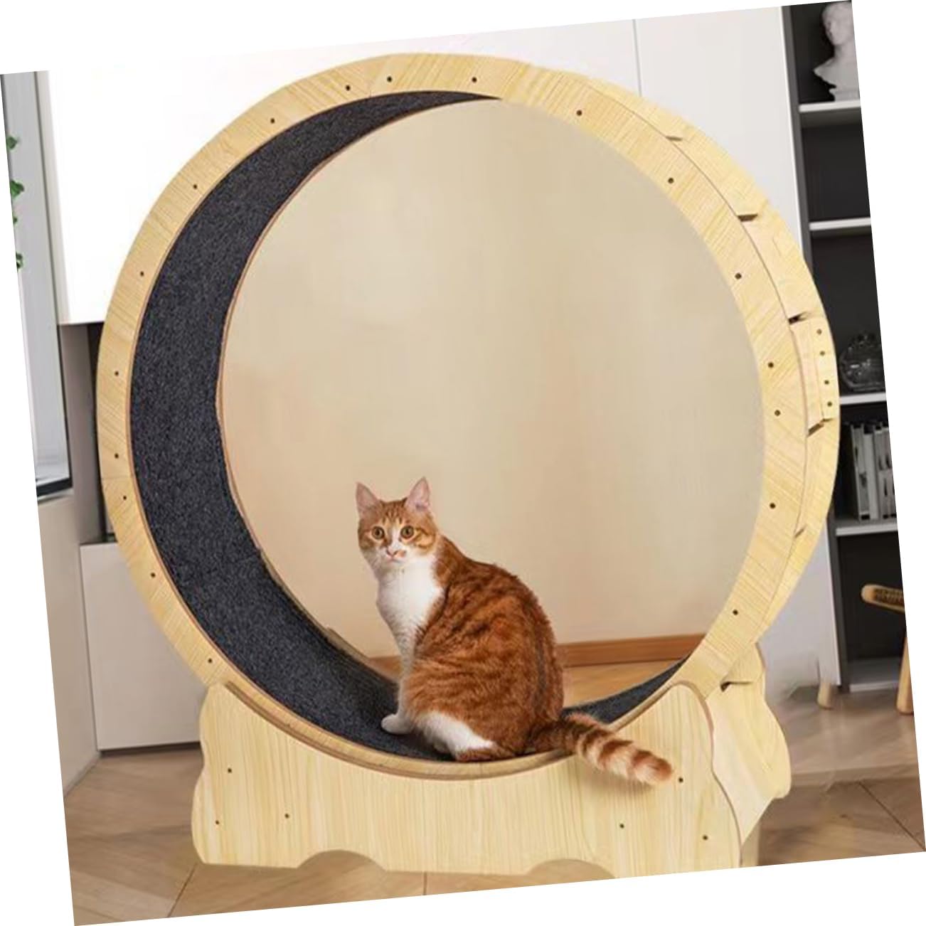 Cat Exercise Wheel Replacement Pad Interactive Scratching Mat for Indoor Cats Multifunctional Design for Enhanced Engagement Easy Setup and Versatile Use