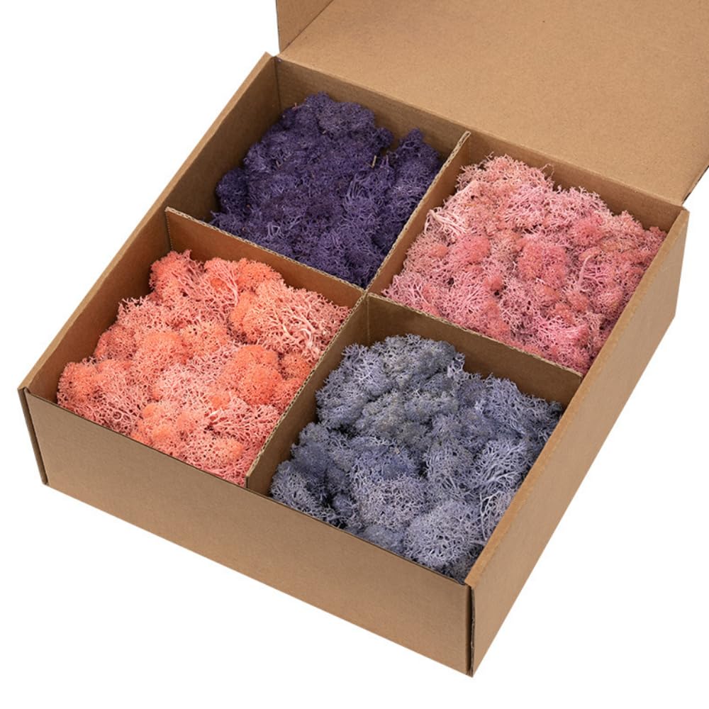 ZenceWell Preserved Reindeer Moss Natural Green DIY Kit Gardening Art Wall Decor Florist Easter Table Decor Wedding Decor Purple Mix 400g