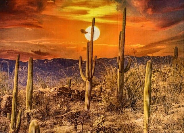 Saguaro Moon Quilt Panel, Panel Size is 24” X 16” - DCS-010, Quality Southwest Quilting Cotton