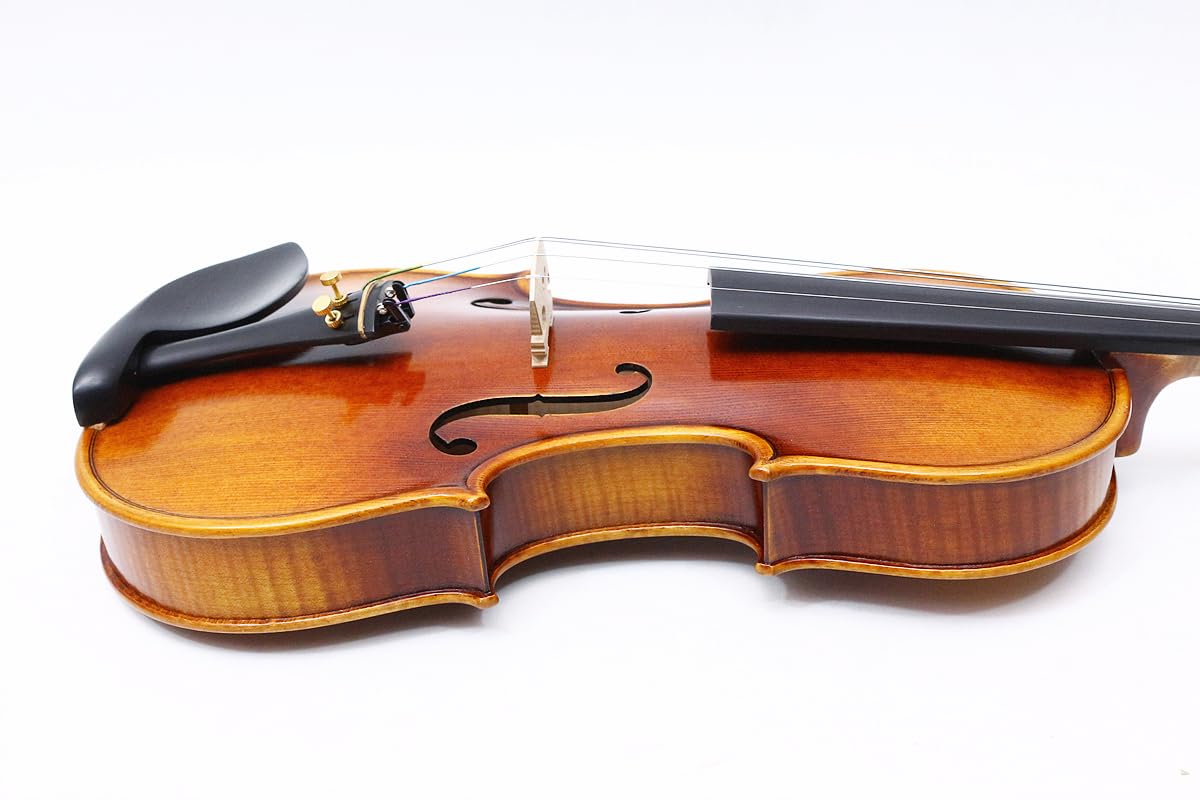 Violino professionale 4/4 full size in legno d'acero fiammato con top in abete rosso e accessori in ebano, kit violino realizzato a mano con custodia e archetto (VA-Violin-X)