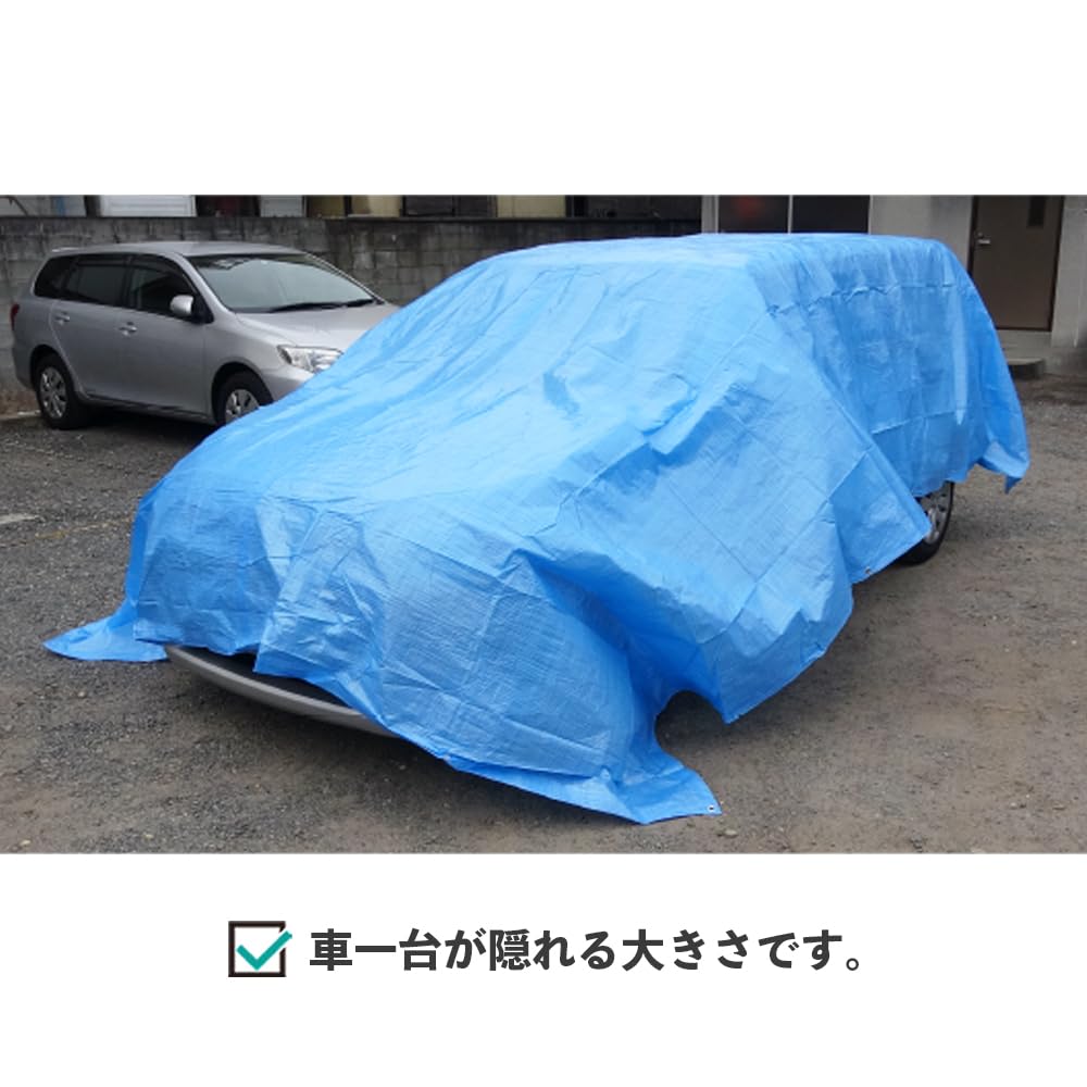 Amazon.co.jp: ブルーシート #3000 厚手 青 3.6x5.4M 1枚x10冊/ベール