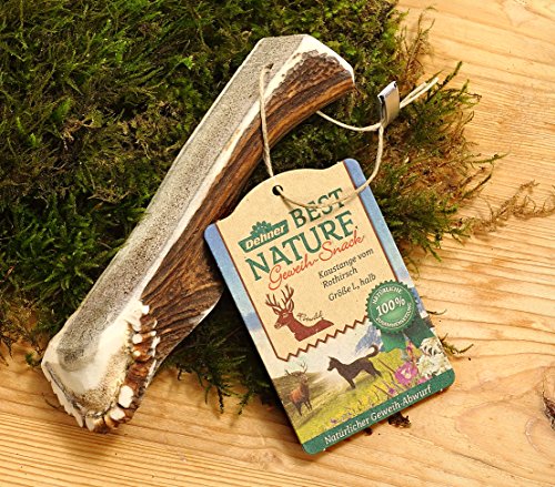 Dehner Best Nature Hundesnack, hochwertiges Leckerli geruchsarm / 100 % narürlich, Kausnack für Hunde, Rothirsch-Geweih halb, Größe L