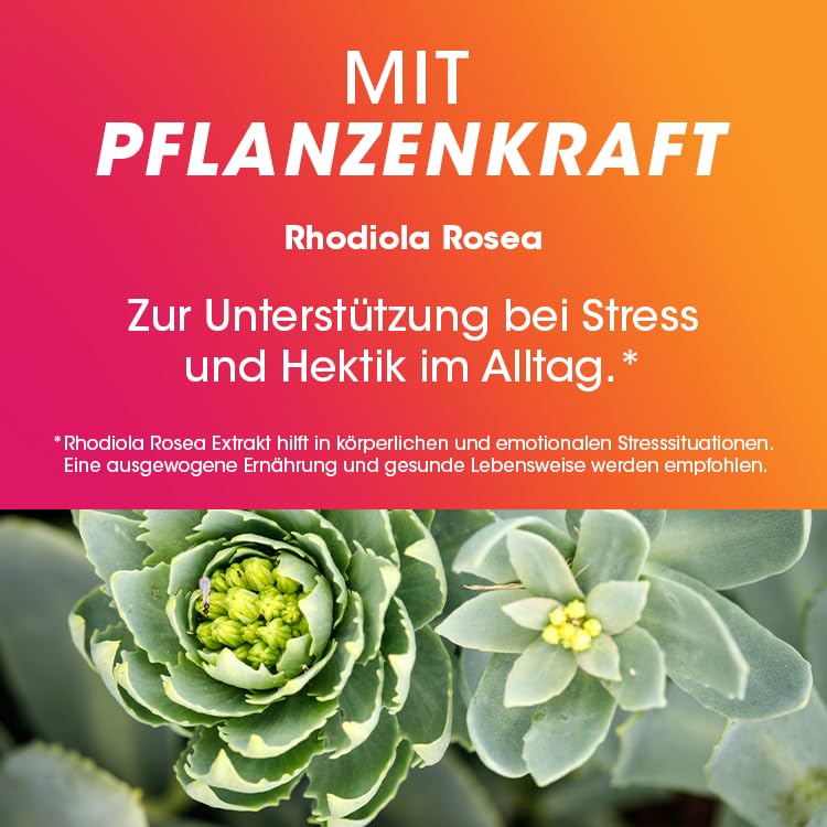 Vitamine - Vitasprint Duo Energie 2-Phasen-Tabletten, 20 St. – Mit hochdosiertem Vitamin B-Komplex zur Verringerung von Müdigkeit und Pflanzenextrakt Rhodiola Rosea