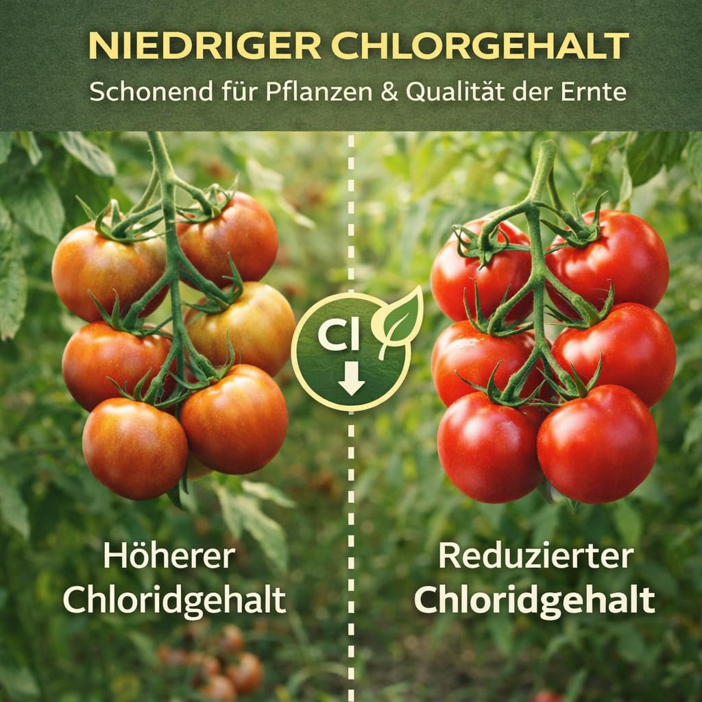 GiDeli Tomatendünger 20 kg - Granulat 8-8-19 Für Tomaten & Paprika | Kali für kräftige Früchte, chloridarm, Gemüsedünger für Gärtnerei und Anbau, Bedarf je Kultur