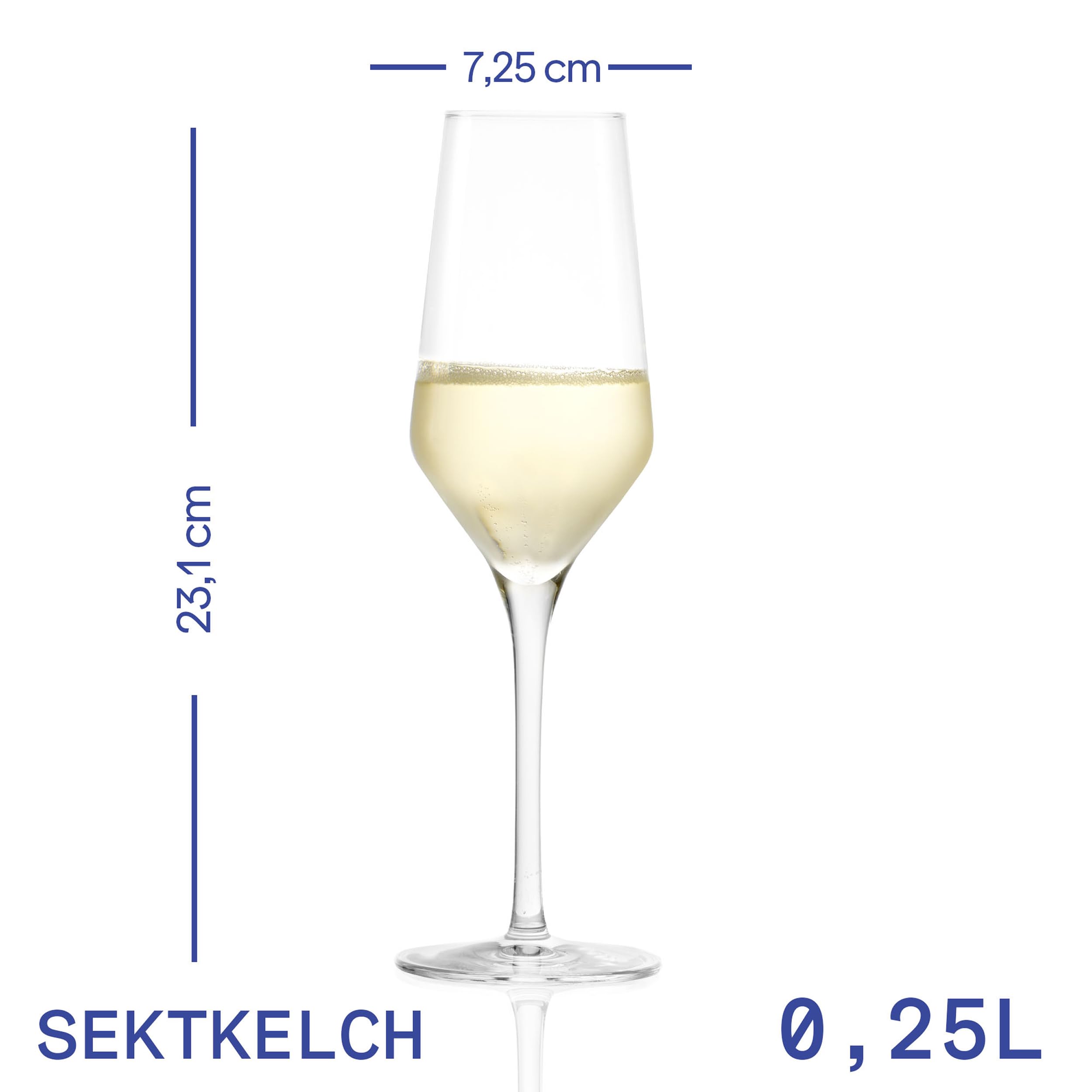 Stölzle Lausitz Oberglas Champagnergläser PASSION 6er-Set 248 ml – Edle Champagnerkelche ideal für Sekt & Prosecco – Hochwertige Sektgläser aus bleifreiem Kristallglas – Spülmaschinengeeignet