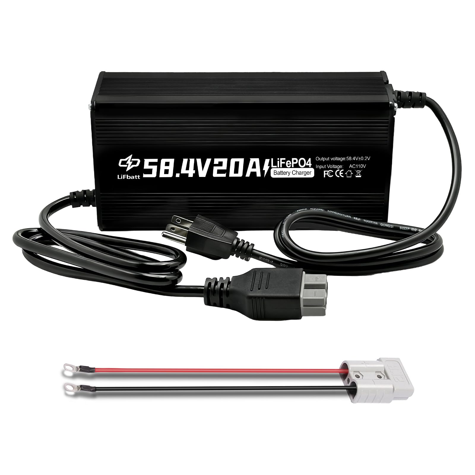 LiFbatt 48V 20A Charger