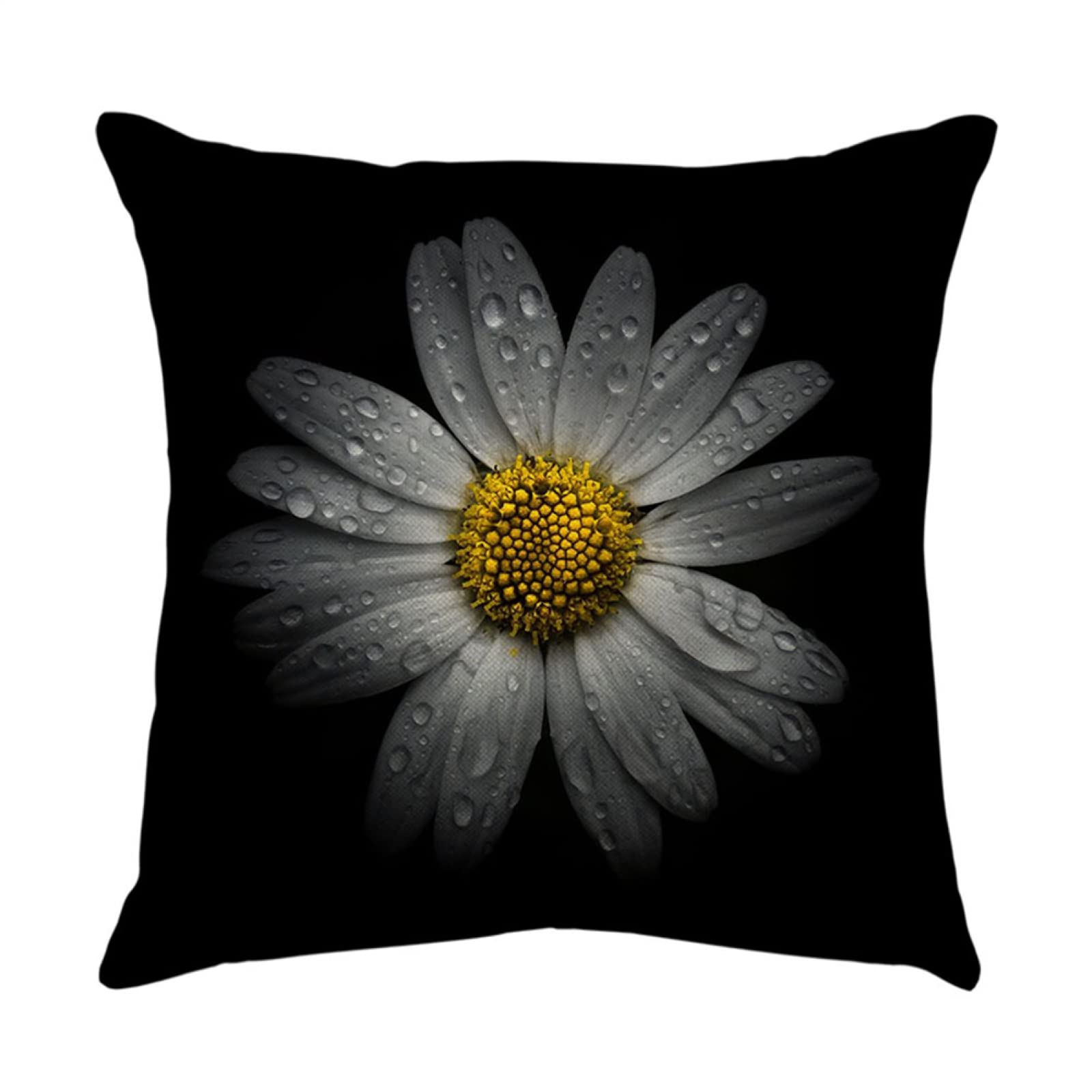 4 Piezas Funda de Almohada Margarita Negra Fundas de Cojín Terciopelo Sencillo y Decorativo para Sofá Camas Dormitorio Coche Lino Cojines Throw Pillow Covers 80x80cm/32x32 Inch