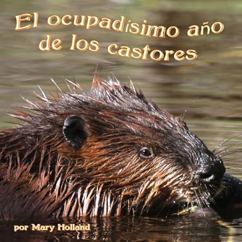 Couverture de El ocupad&iacute;simo a&ntilde;o de los castores [The Beavers' Busy Year]