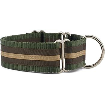 1.5 martingale dog collar