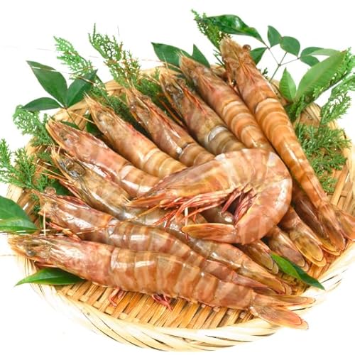  1kg VR I[Xg^CK[CV  hgp I[XgAY 25 L Y uE^CK[ Hi ؉