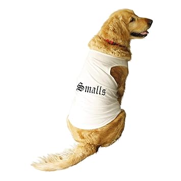 Ruse. Pet Small Round Neck Sleeveless Vest Tank T-Shirt/Tees for Dog Clothes Summer Apparel./Medium (Chubby Pugs, Beagle etc.)