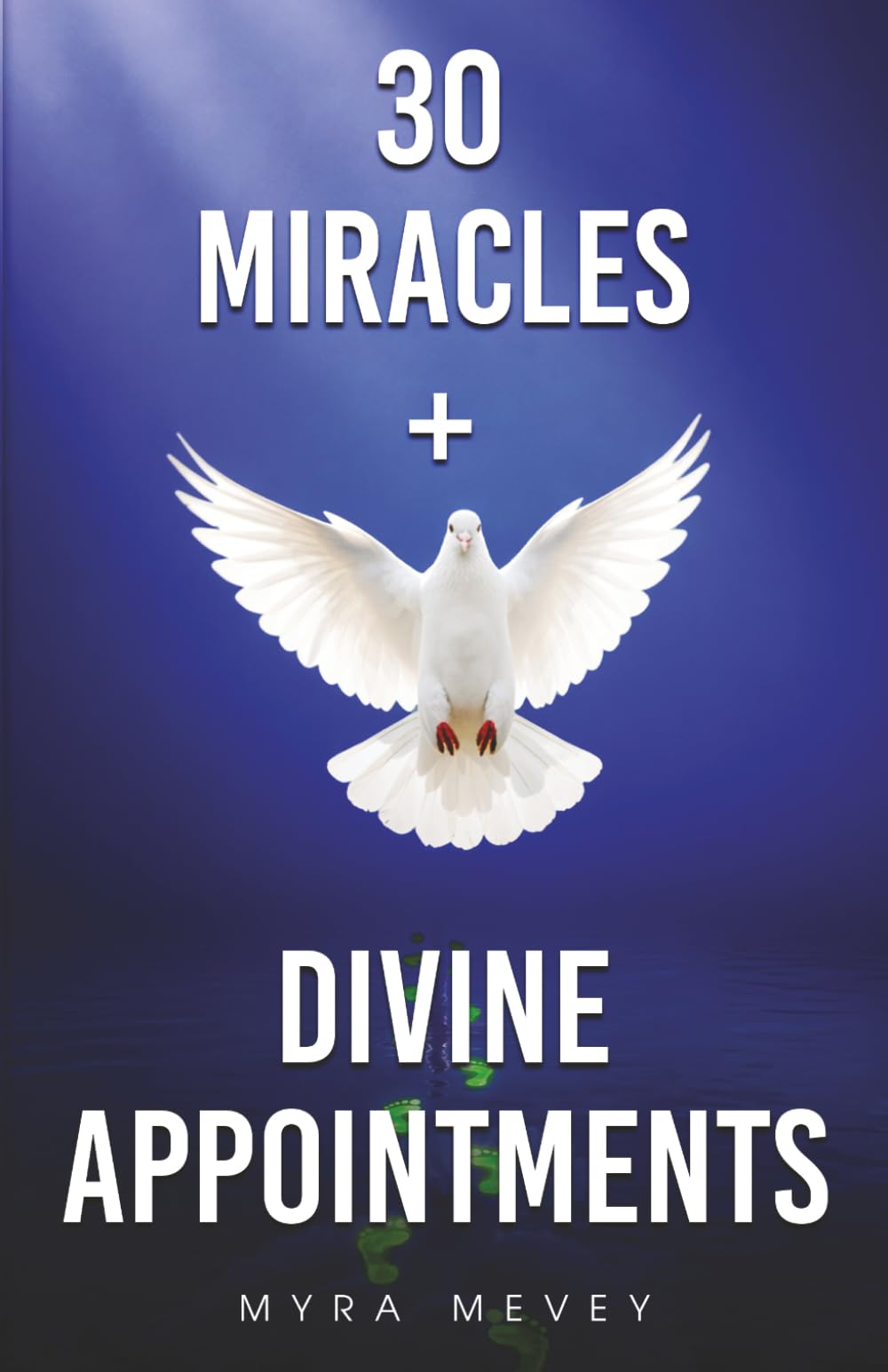 30 Miracles + Divine Appointments