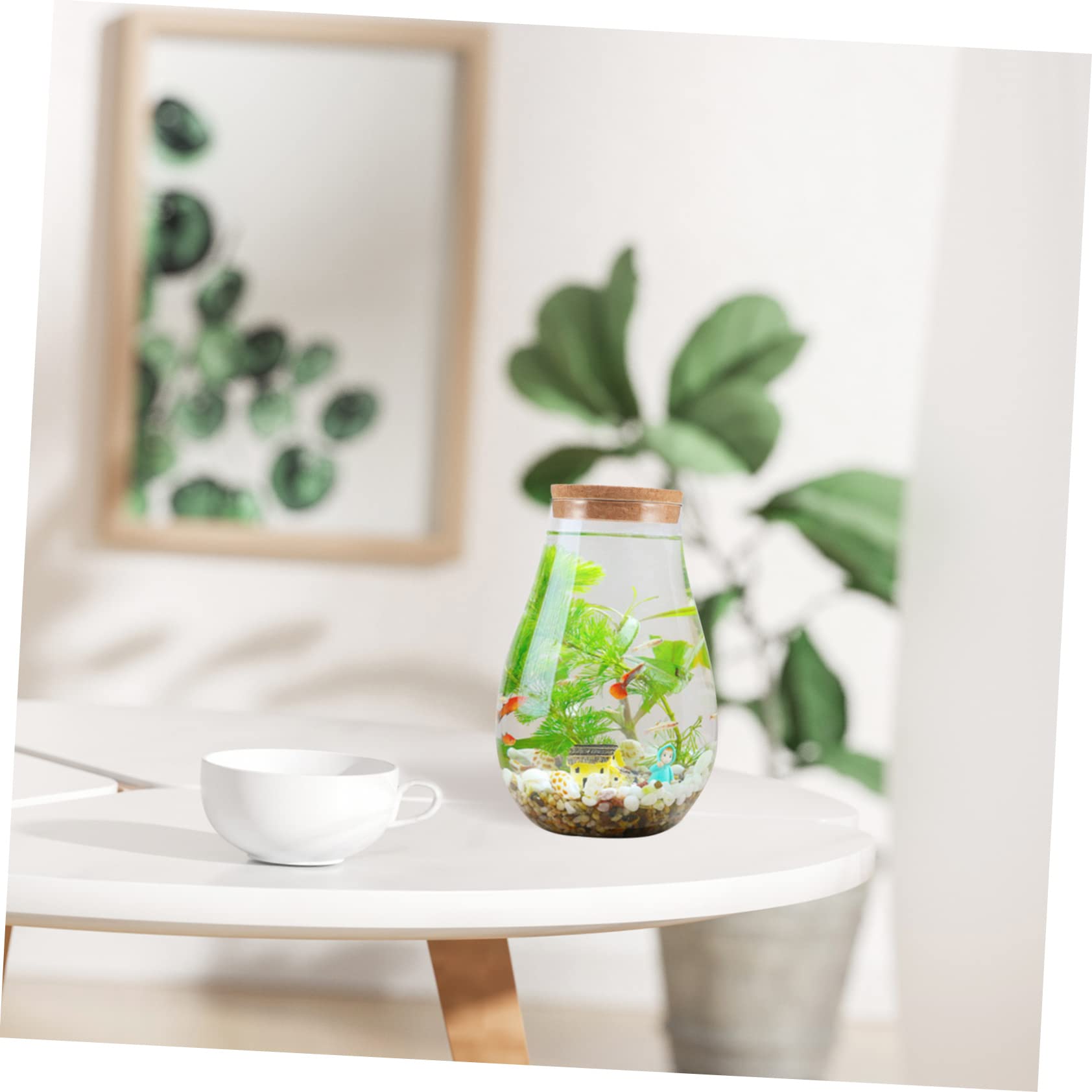 Terrario in Vetro e Legno per Piante e Muschio, Decorativo