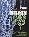 The Brain: Big Bangs, Behaviors, and Beliefs