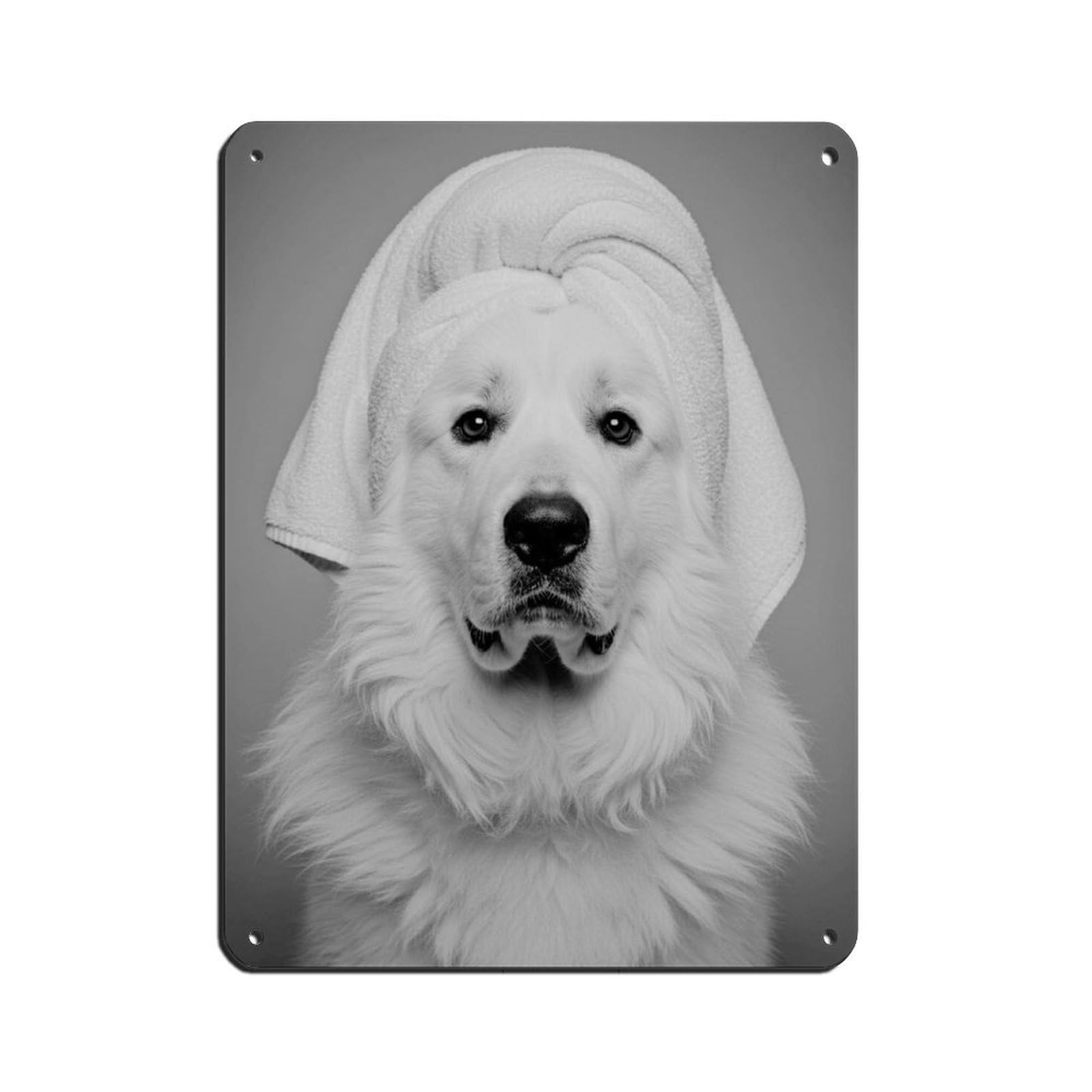 Bathroom Spa Art, Great Pyrenees Décor Art Retro Poster Metal Tin Sign Chic Art Retro Iron Painting Bar People Cave Cafe Family Garage Poster Wall Decoration 12x16inch(30x40cm)