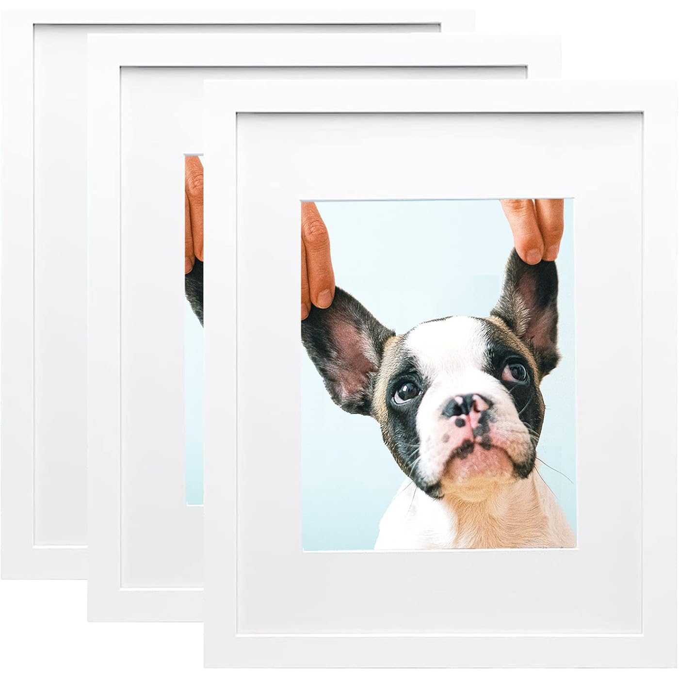 Gallery image 1