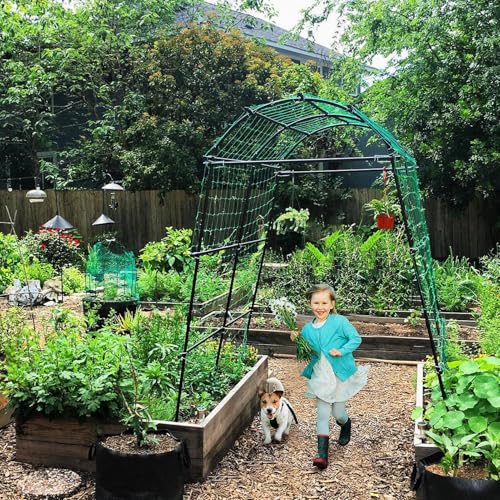 Lalahoni RJ-ZWPTJ-H220W180 Garden Arch Trellis For Climbing Plants Outdoor thumb #3