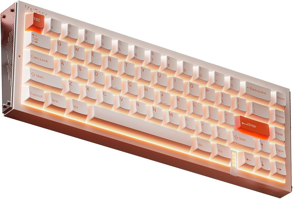 MelGeek REAL67 ラピッドトリガー キースイッチ換装済み Amazon | MelGeek REAL67 有線キーボード、US英語配列、RGB搭載