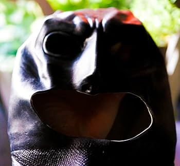 ゲームセンター限定非売品景品・新品未使用・バットマン・アメコミ・マスク・お面 51tb6eSRzmL._AC_UL210_SR210,