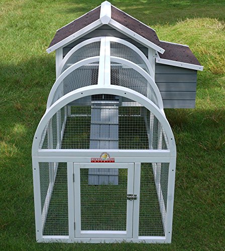 Pets Imperial® Charminster Kleiner Hühnerstall - Grauer Hühnerkäfig - Hühnerauslauf im Freien mit verstärktem Draht – Bild 5