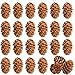 Delokey 60 PCS Thanksgiving Natural Mini Hanging Pine Cones with String-3CM Christmas Tree Hanging Pinecone Ornaments for DIY Crafts, Home Decorations,Fall and Thanksgiving,Wedding Decor (60pcs)