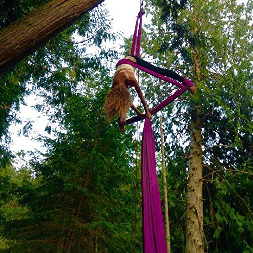 F.Life Aerial Silks Standard Kit Pilates Yoga Flying Swing Aerial Yoga Hammock Silk Fabric for Yoga (10 Yards of Fabric) (Purple)