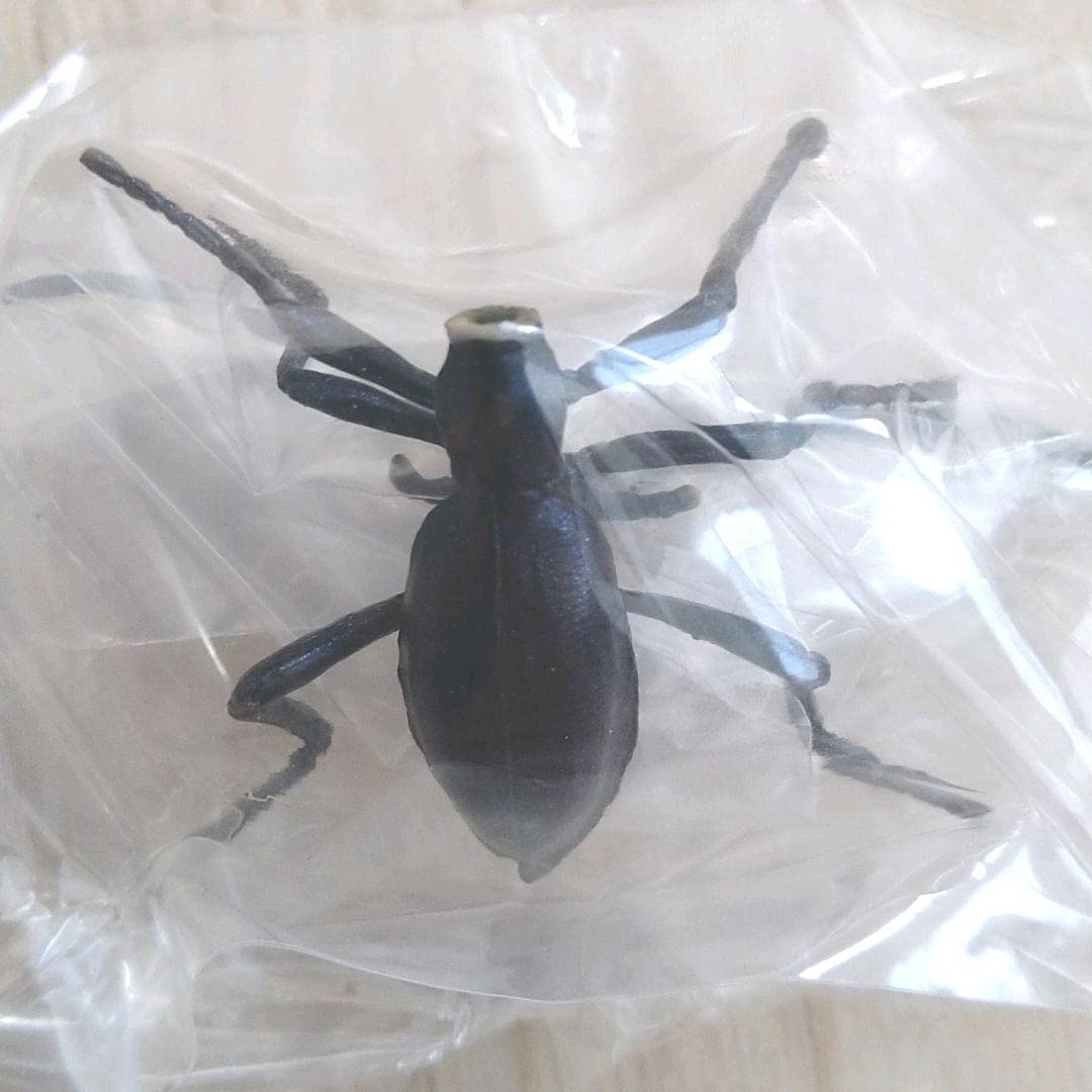 Amazon.co.jp: ユージン 原色日本昆虫図鑑 Ⅰ シークレット Amazon.co.jp: ユージン 原色日本昆虫図鑑 Ⅰ シークレット