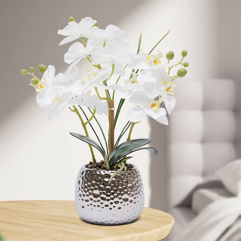 Planta Artificial de orquídea Artificial de 39 cm con Maceta de cerámica para decoración de Ventanas, Fiestas, Cocina, etc