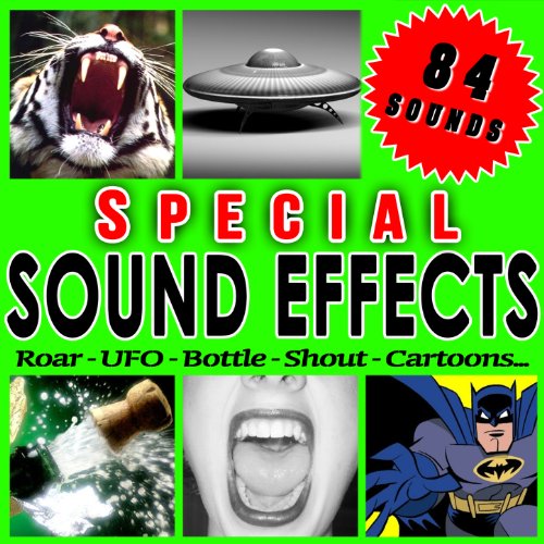 Sfx Professional Resource Studio