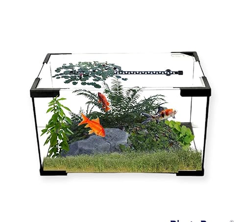 Acuario 38 Litros ,Peceras Acuarios Pequeños De Cristal Con Luz Y Filtro Acuario 38 Litros ,Peceras Acuarios Pequeños De Cristal Con Luz Y Filtro