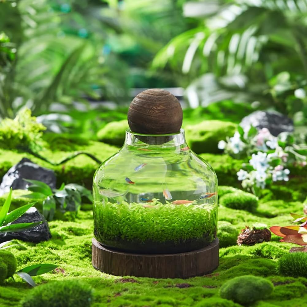 Szklane akwarium, miniaturowe terrarium krajobrazowe szklane akwarium z drewnianą podstawą, nowoczesne akwarium betta, małe akwarium do dekoracji domu i biura,L