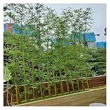 ZJKXJH Bambu Artificial Plantas Artificiales de Bambú Grandes para Exterior E Interior, Tallos Falsos con Hojas de 1,2 M, 1,5 M, 1,8 M, 2,1 M Y 2,4 M(H-210cm (82 2/3'),10 Pole)