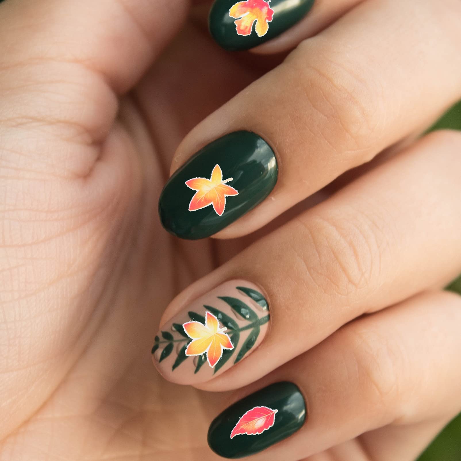 Didiseaon 7 Set Adesivi Per Unghie Decorazioni Unghie Decorazioni Per Unghie Arredamento Per La Casa Succulento Adesivi Per Manicure Fai Da Te Nail Art Con Foglie D'acero Carta 4 Pezzi * 7