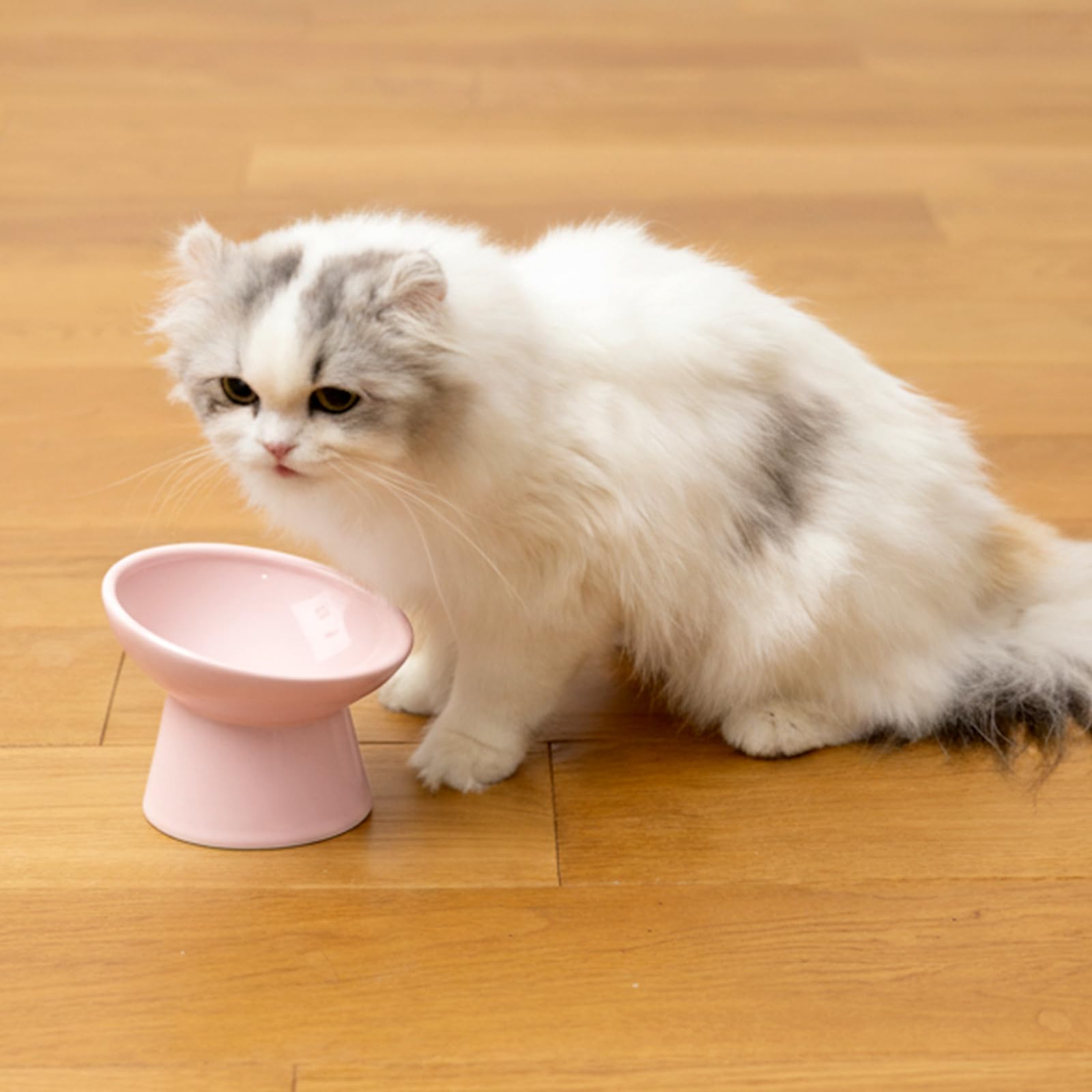 Amazon | 猫壱 猫用 食器 脚付フードボウル にゃにゃめレギュラー