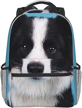 border collie backpack