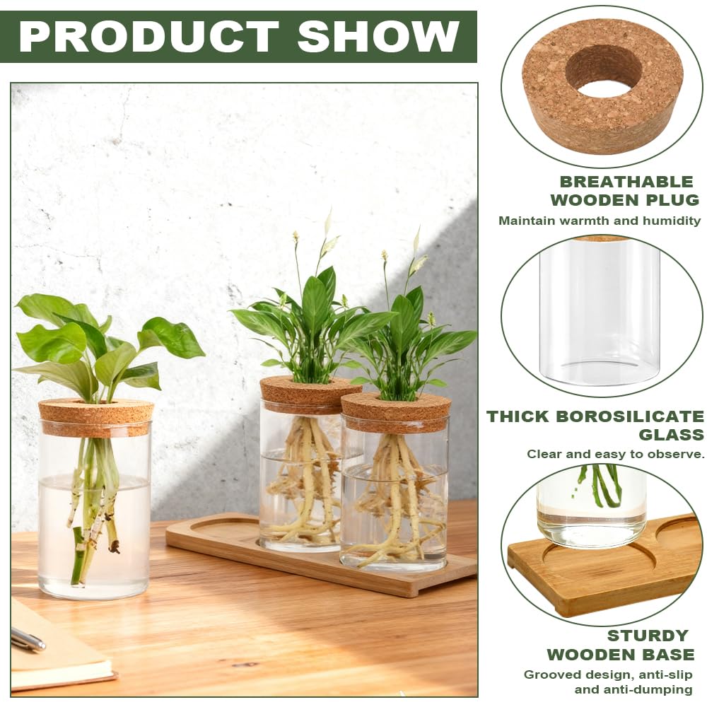 Estación de Propagación de Plantas Jarrón Hidropónico Cristal Jarrón Cultivo Hidropónico Bandeja Vidrio para Cultivo Hidropónicas 3 Jarronita300ml Cristal Decorativas para Esquejes de Plantas