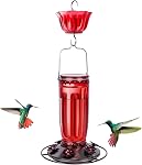 Kingsyard Feeder de colibri en verre pour les oiseaux sauvages extérieurs avec 6 Ports d'alimentation suspendus pour jardinier, rouge (Mouvement d'Antre inclus)