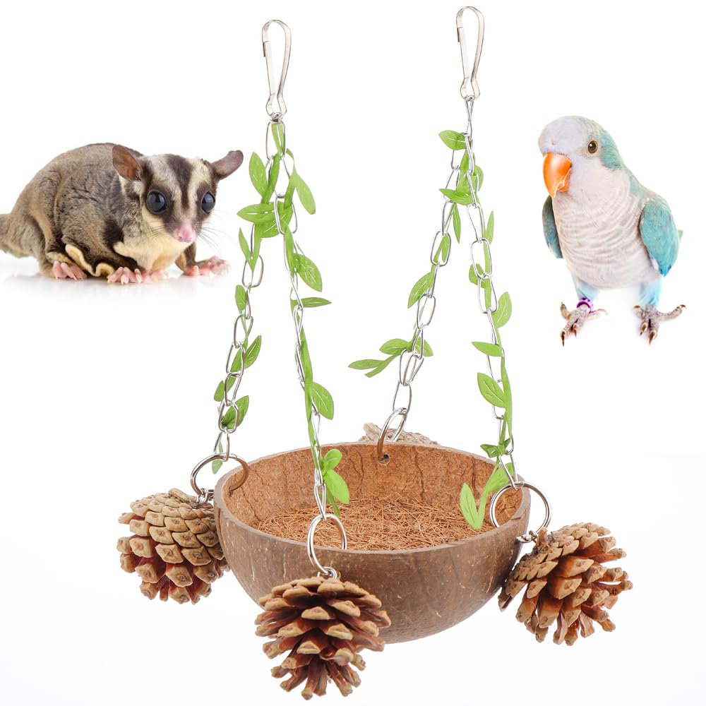 Nid de noix de coco pour oiseau avec son tapis en fibre de coco naturel