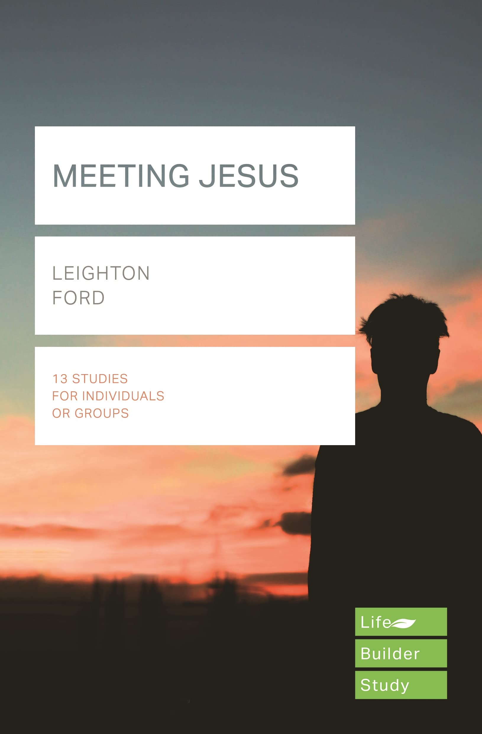 Meeting Jesus (Lifebuilder Study Guides) (Lifebuilder Bible Study Guides)