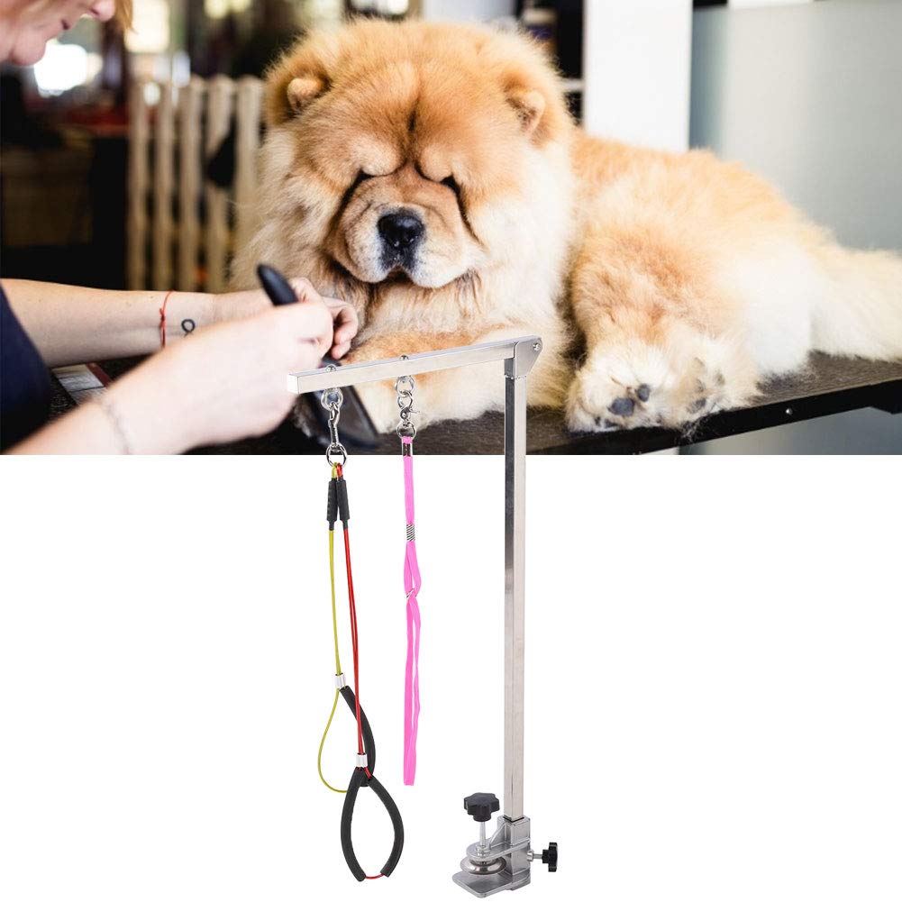 Braccio per toelettatura cani pieghevole resistente per cani, in acciaio inox, con morsetto e cappio