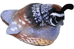 Wild Republic Audubon Birds California Quail Plush with Authentic Bird Sound