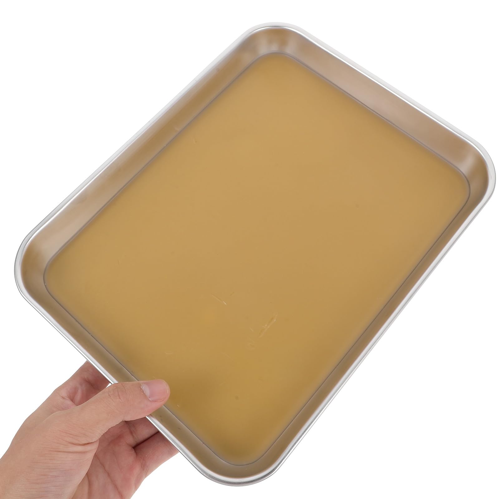 VALICLUD Vassoio di Dissezione con Rivestimento in Cera in Inossidabile Resistente e Facile da Pulire per Laboratori di Biologia per Esperimenti Scolastici