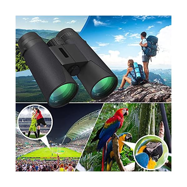 Fernglas 12x42 Kinder Erwachsene Fernglas mit Nachtsicht und Wasserdichtes Kompakte ferngläser für Naturbeobachtung… – Bild 8