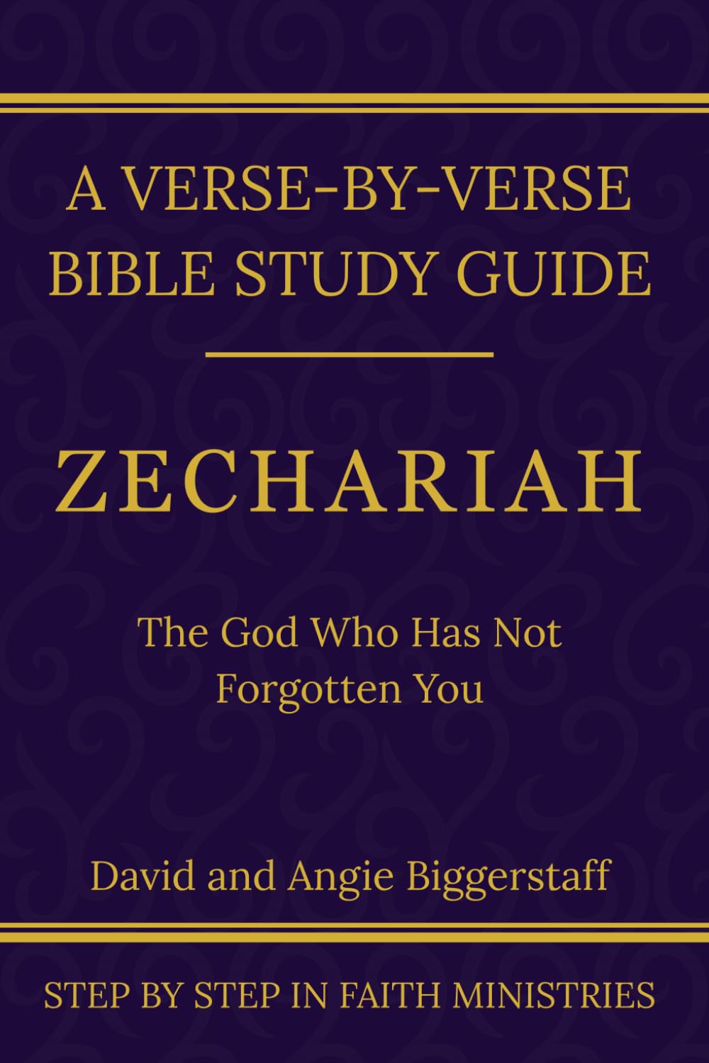 Zechariah: The God Who Has Not Forgotten You: A Verse-by-Verse Walkthrough (SSV Edition) (Step by Step In Faith Bible Study Series)