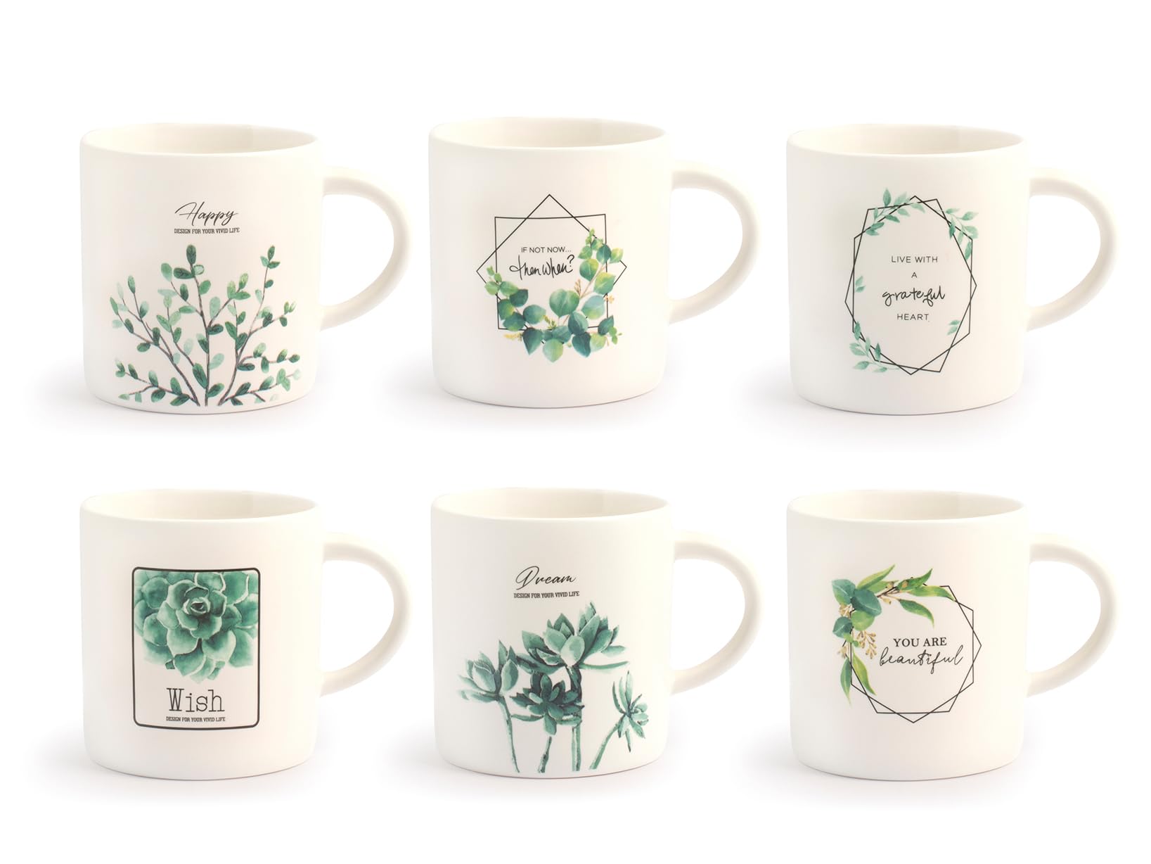 6 Tasses de table H&H Botanic 220cc pour le thé du brunch dominical